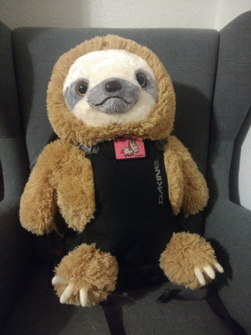 IMG_20191020_065544642